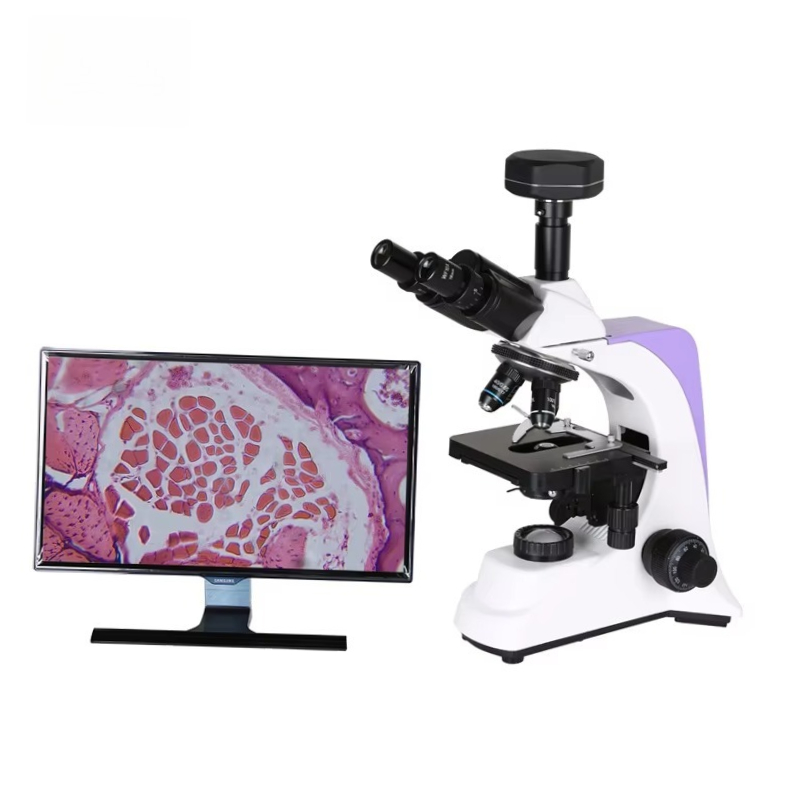 Medical Laboratory Scientist - 2026 Medizinisches Labor-Digitalmikroskop für Wissenschaftler und