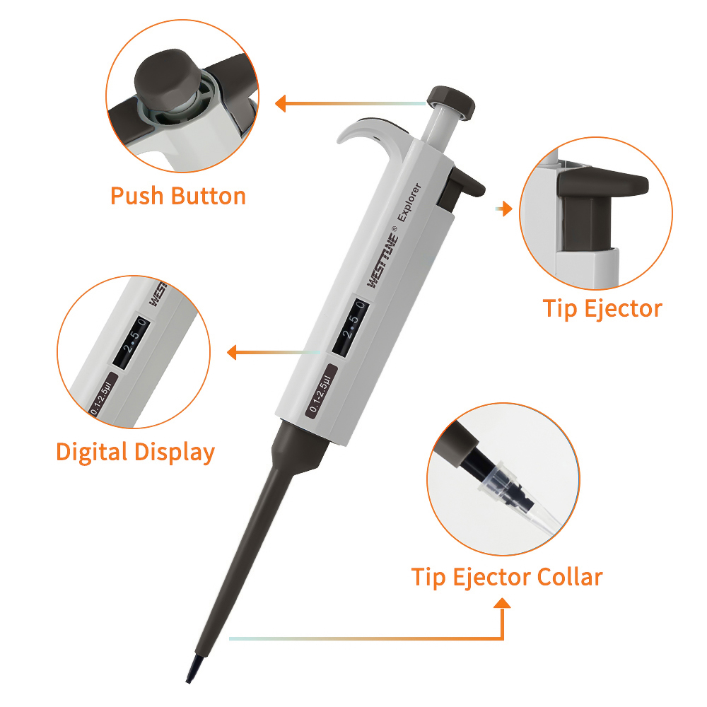 WESTTUNE Laborpipette, verstel – Medical Laboratory Scientist Bewertung und Preis